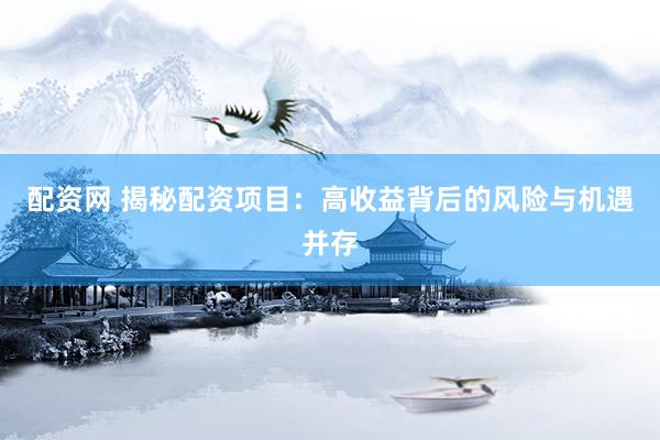 配资网 揭秘配资项目：高收益背后的风险与机遇并存
