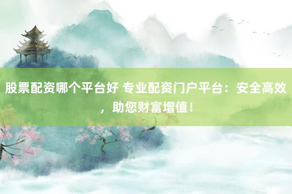 股票配资哪个平台好 专业配资门户平台：安全高效，助您财富增值！