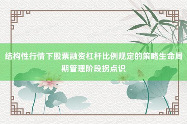 结构性行情下股票融资杠杆比例规定的策略生命周期管理阶段拐点识