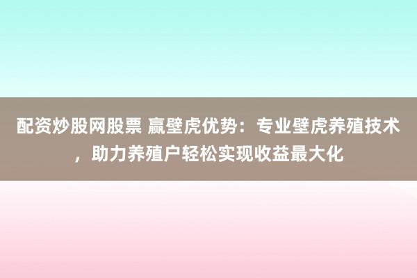 配资炒股网股票 赢壁虎优势:专业壁虎养殖技术,助力养殖户轻松实现收益最大化