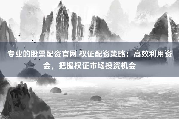 专业的股票配资官网 权证配资策略：高效利用资金，把握权证市场投资机会